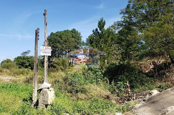 Terreno à venda, 11500 m² por R$ 5.750.000,00 - Chácaras Nova Suzano - Suzano/SP - Foto 3