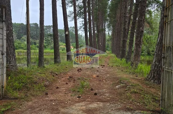 Sítio com 5 chalés à venda, 242000 m² por R$ 7.000.000 - Chácara Sete Cruzes - Suzano/SP - Foto 1