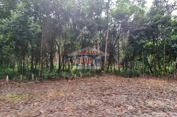 Área à venda, 294.238 m² por R$ 2.700.000,00 - Cézar de Souza - Mogi das Cruzes/SP