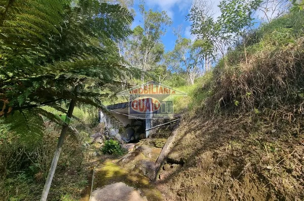 Sítio à venda, 146000 m² por R$ 1.490.000,00 - Quatinga - Mogi das Cruzes/SP - Foto 6