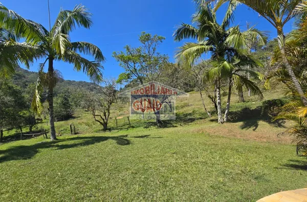 Sítio para venda com 4 dorms, Piscina, Tanques e + de 380 mil m² por R$ 4.000.000,00 na Quinta Divisão, Palmeiras, Suzano - Foto 5