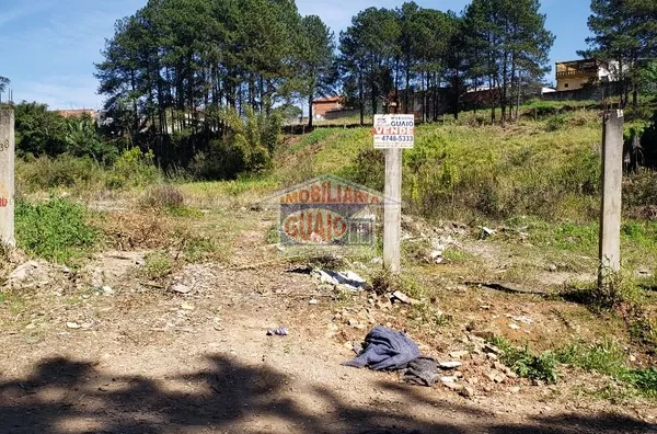 Terreno à venda, 11500 m² por R$ 5.750.000,00 - Chácaras Nova Suzano - Suzano/SP - Foto 2
