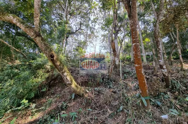 Terreno à venda, 1126 m² por R$ 120.000,00 - Jardim Silvestre - Suzano/SP - Foto 3