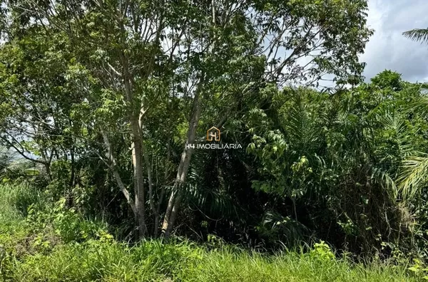 Lotes à Venda no Loteamento Pérola do Mar – Ilhéus/BA - Foto 6