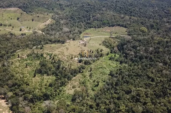 Fazenda Mista à Venda com 146 hectares -  Camacã/BA - Foto 3