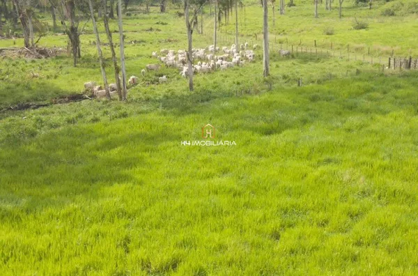 Fazenda com 324 hectares à venda em Itabuna/BA