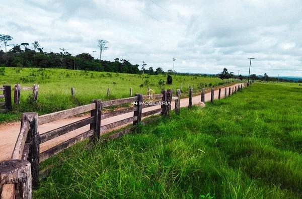 Fazenda de Pecuária com 130 hectares à venda - Ribeirão do Lago/BA - Foto 2