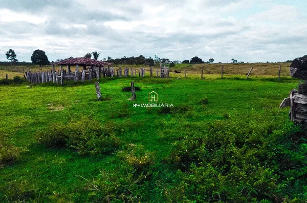 Fazenda de Pecuária com 130 hectares à venda - Ribeirão do Lago/BA - Foto 4