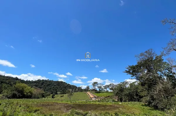 Fazenda Mista à Venda com 146 hectares -  Camacã/BA - Foto 2