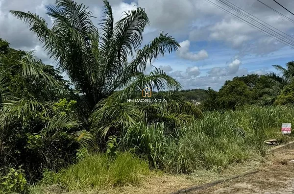 Lotes à Venda no Loteamento Pérola do Mar – Ilhéus/BA - Foto 4