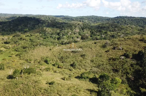 Fazenda com 191 hectares à venda , localizada na cidade de Ilhéus/BA - Foto 6