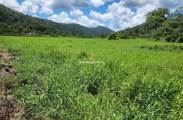 Fazenda de 160 Hectares à Venda em Barro Preto/BA – Estrutura Completa - Foto 1