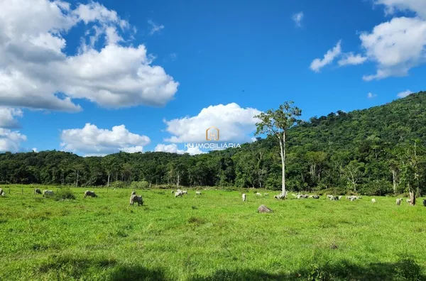 Fazenda de 160 Hectares à Venda em Barro Preto/BA – Estrutura Completa - Foto 3