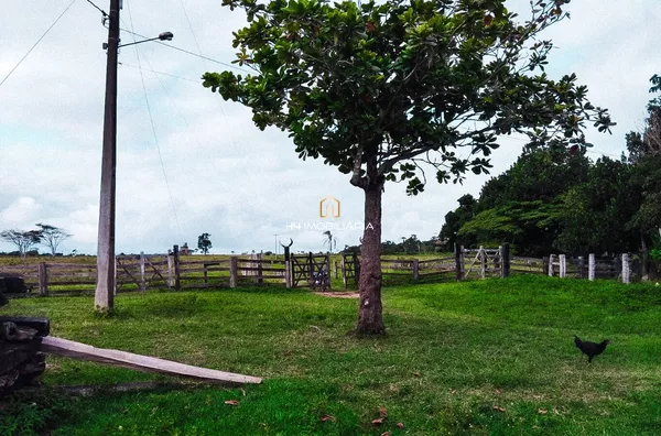 Fazenda de Pecuária com 130 hectares à venda - Ribeirão do Lago/BA - Foto 6