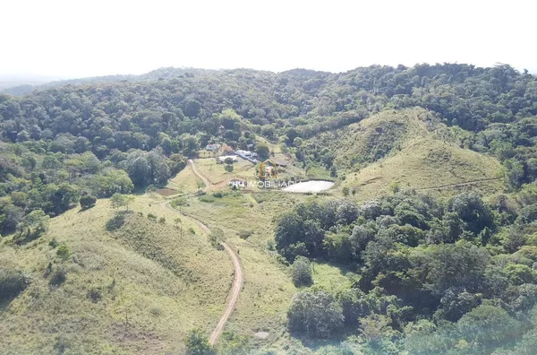 Fazenda com 191 hectares à venda , localizada na cidade de Ilhéus/BA - Foto 3