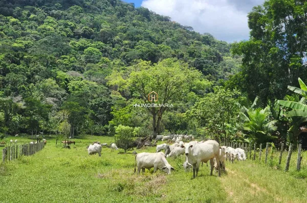 Fazenda de 160 Hectares à Venda em Barro Preto/BA – Estrutura Completa - Foto 4