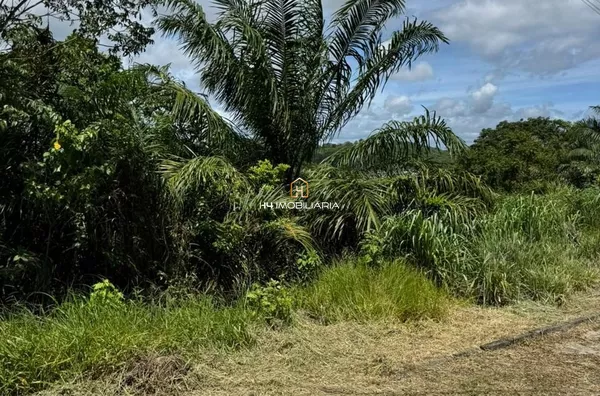 Lotes à Venda no Loteamento Pérola do Mar – Ilhéus/BA - Foto 5