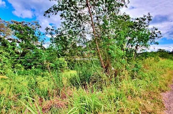 Vendo Terrenos a partir de 5.000m² – BR-101, Próximo ao Posto Nego Véio – Itabuna/BA - Foto 2