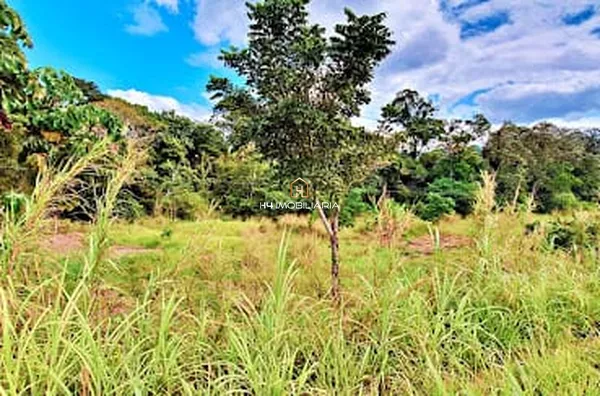 Vendo Terrenos a partir de 5.000m² – BR-101, Próximo ao Posto Nego Véio – Itabuna/BA - Foto 3