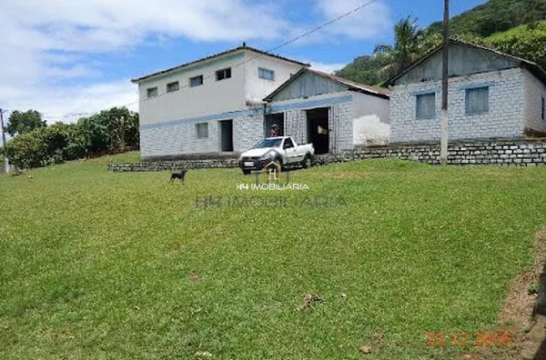Fazenda com 275 hectares à venda, localizada em  Camamu/BA - Foto 6