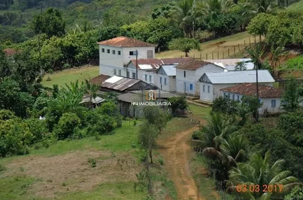 Fazenda com 275 hectares à venda, localizada em  Camamu/BA - Foto 1