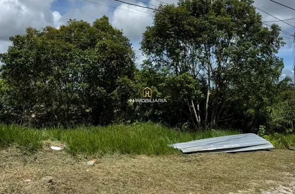 Lotes à Venda no Loteamento Pérola do Mar – Ilhéus/BA - Foto 3