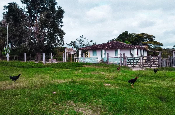 Fazenda de Pecuária com 130 hectares à venda - Ribeirão do Lago/BA - Foto 5