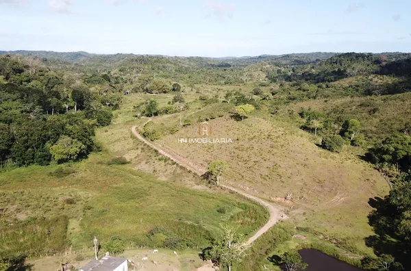 Fazenda com 191 hectares à venda , localizada na cidade de Ilhéus/BA - Foto 4