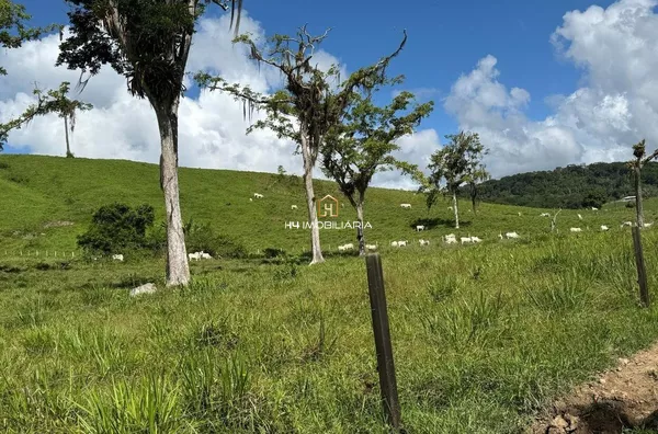 Fazenda com 324 hectares à venda em Itabuna/BA