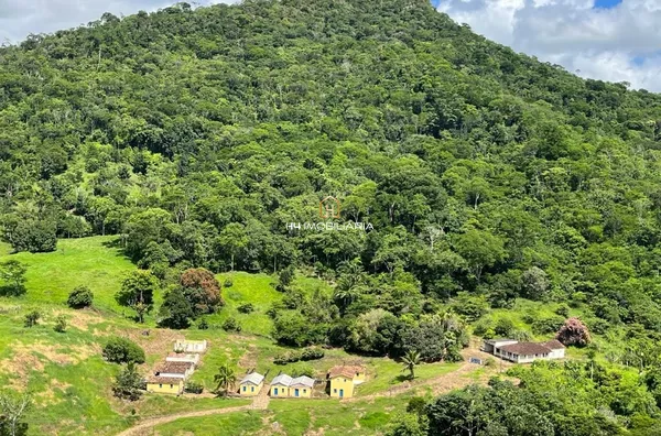 Fazenda à venda com 60 hectares, localizada em  Itororó/BA - Foto 2