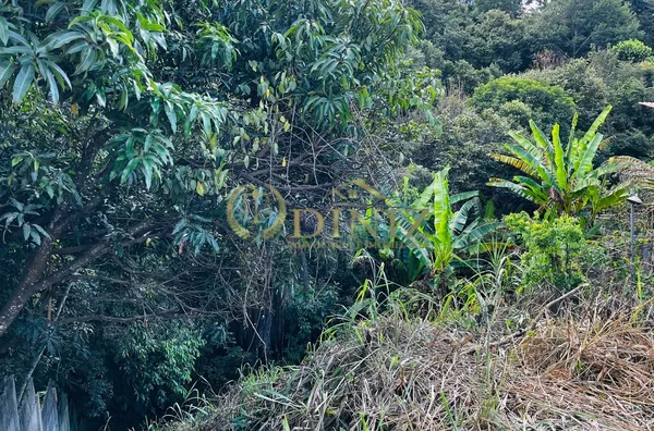 Terreno para venda,  Residencial Lagoa, Betim - Foto 3