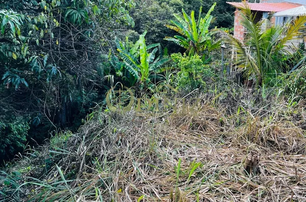 Terreno para venda,  Residencial Lagoa, Betim - Foto 6