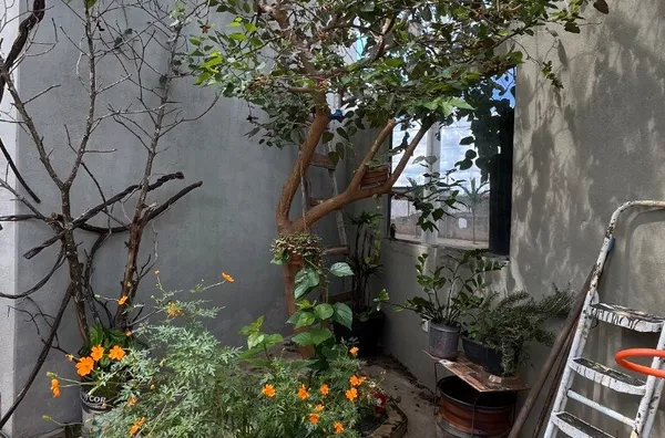 Casa para venda,  Residencial Jardim Das Paineiras, Mineiros - Foto 10