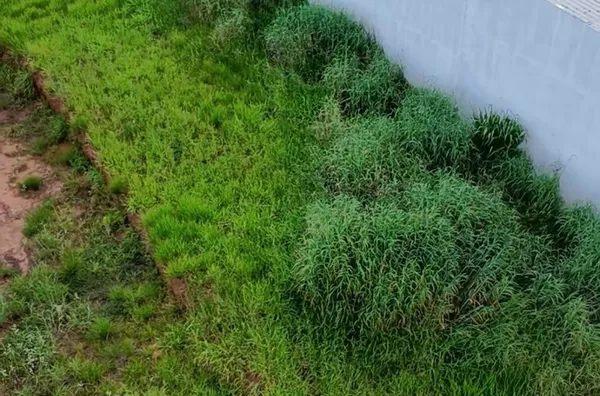 Terreno para venda,  Buena Vista, Mineiros - Foto 5
