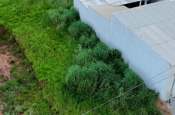 Terreno para venda,  Buena Vista, Mineiros - Foto 7