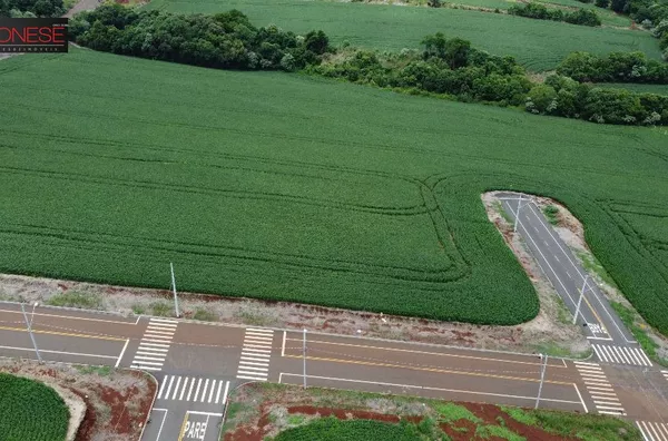 Amplo Terreno Fraron