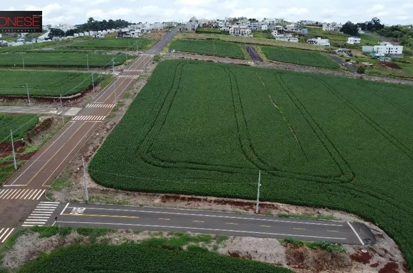 Amplo Terreno Fraron