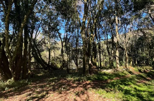 Chácaras Passo da Ilha