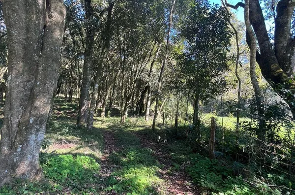 Chácaras Passo da Ilha