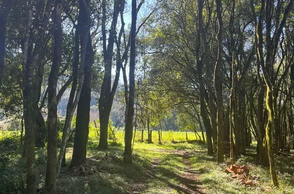 Chácaras Passo da Ilha