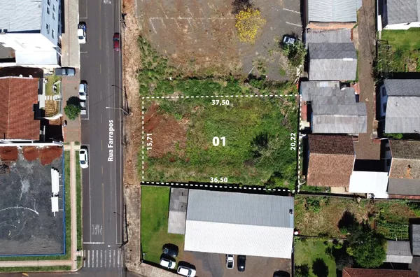Lote para Venda - Foto 6
