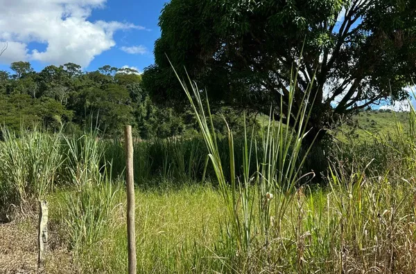 Chácara para venda,  Lajinha, Teofilo Otoni