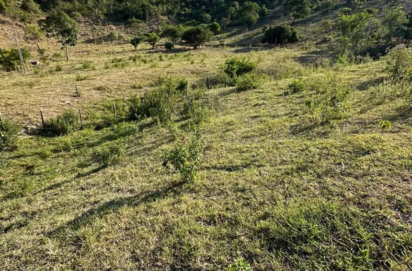 Sítio para venda,  Cedro, Teofilo Otoni