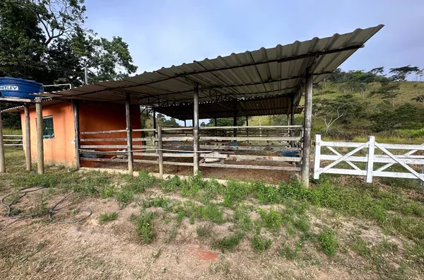 Sítio para venda,  Zona Rural, Teofilo Otoni - Foto 4