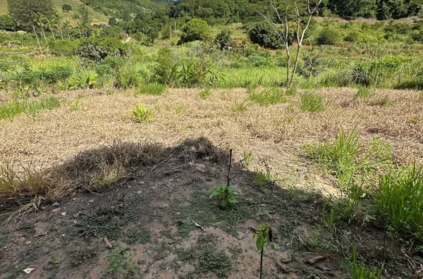 Chácara para venda,  Lajinha, Teofilo Otoni