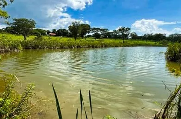 Fazenda para venda, Curvelo - MG