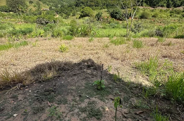Chácara para venda,  Lajinha, Teofilo Otoni