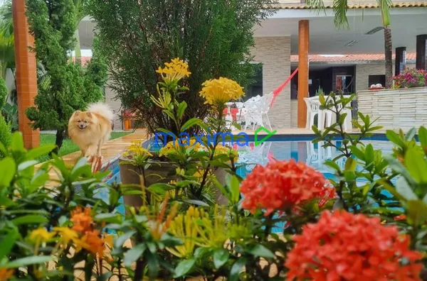 Casa para venda, 7 quarto(s),  Robalo, Aracaju - Foto 5
