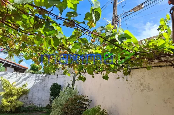Casa à Venda – Coroa do Meio - Foto 6