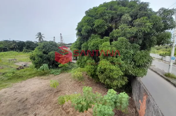 Grande Terreno à Venda em Abrantes – 8.400 m² - Excelente Oportunidade de Investimento